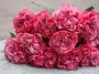 фото 2